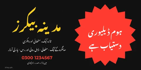 بڑی آفر پینافلیکس ڈیزائن